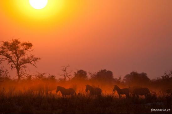 Fotka pro galerii Botswana