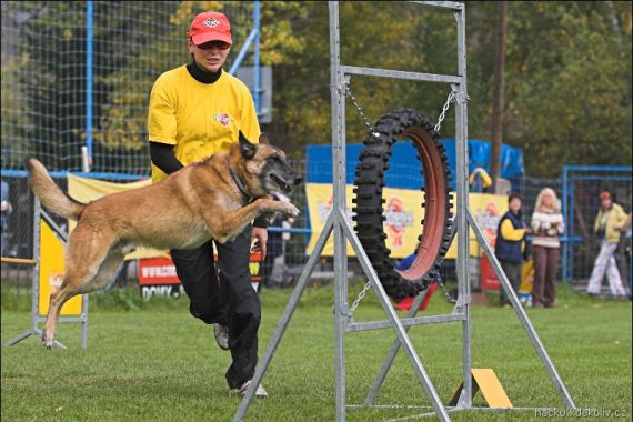 Jméno fotky: fotka 36 / 66