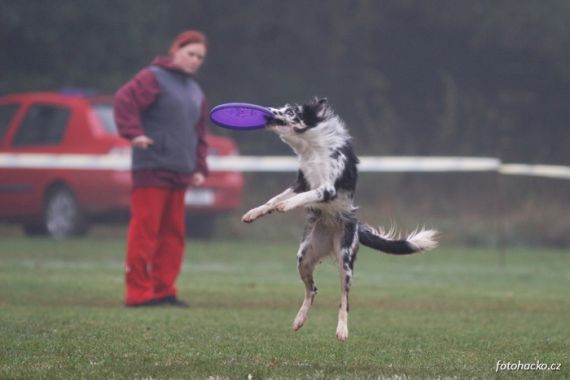 Jméno fotky: fotka 26 / 121