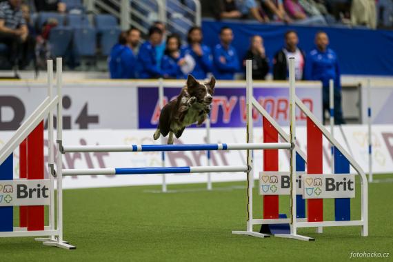 Jméno fotky: fotka 37 / 53