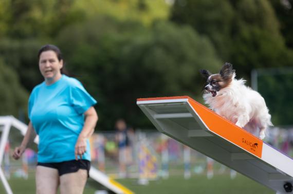 Jméno fotky: fotka 8 / 400