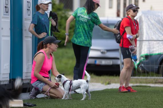 Jméno fotky: fotka 9 / 400