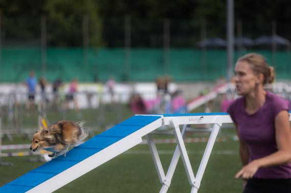 Jméno fotky: fotka 10 / 400