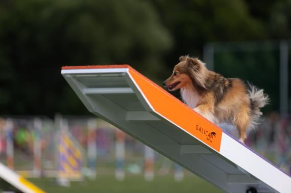 Jméno fotky: fotka 11 / 400