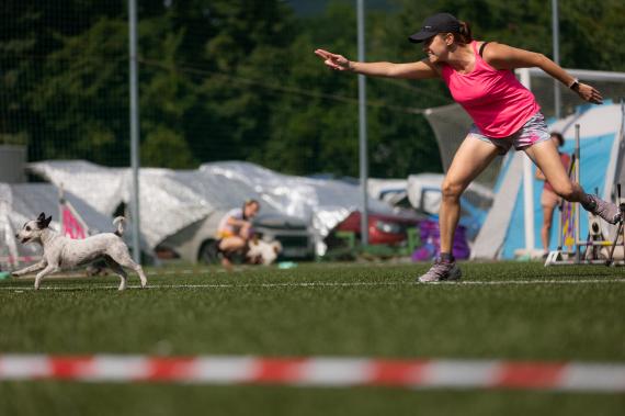 Jméno fotky: fotka 14 / 400