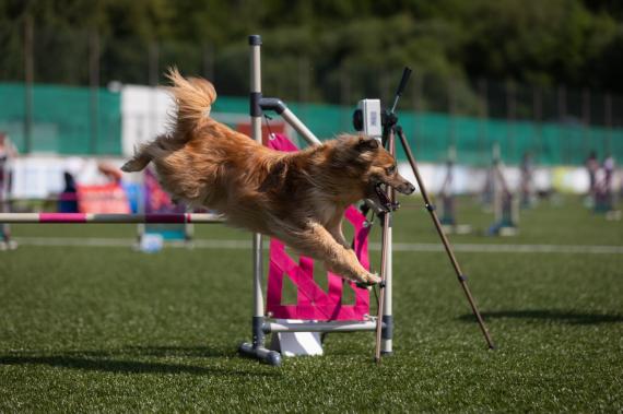 Jméno fotky: fotka 20 / 400