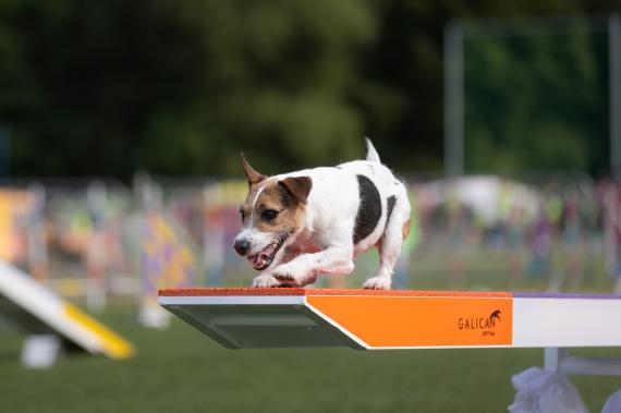 Jméno fotky: fotka 24 / 400