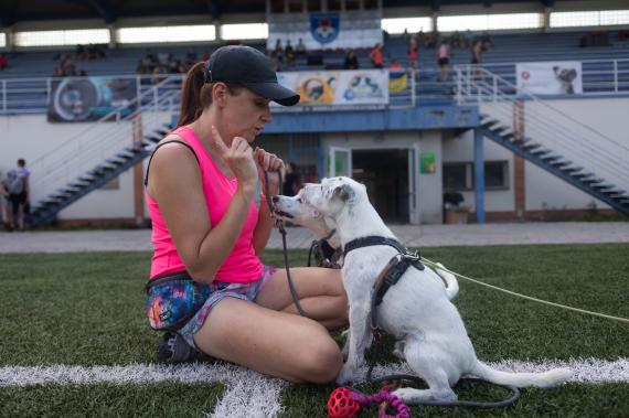 Jméno fotky: fotka 25 / 400