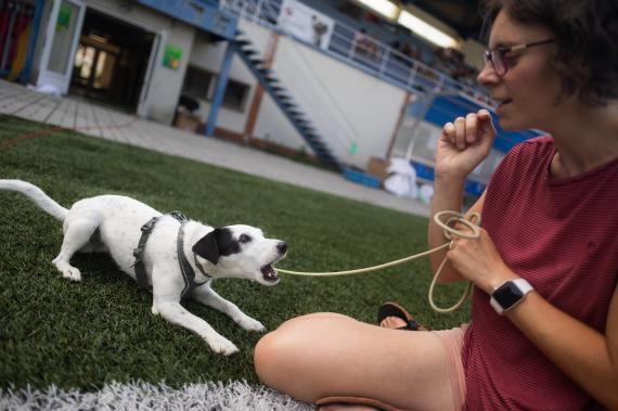 Jméno fotky: fotka 27 / 400