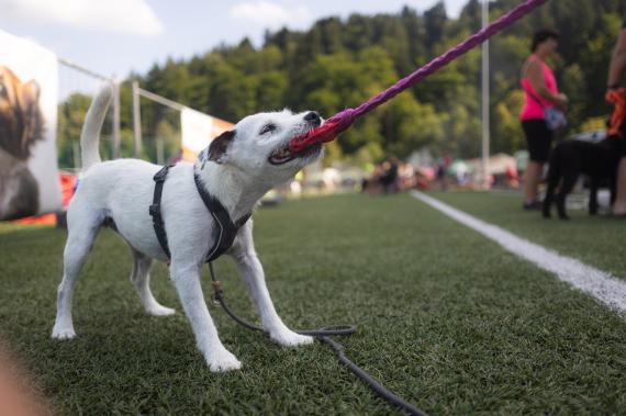 Jméno fotky: fotka 28 / 400