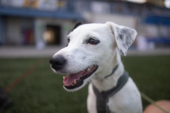 Jméno fotky: fotka 29 / 400