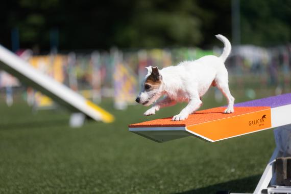 Jméno fotky: fotka 30 / 400