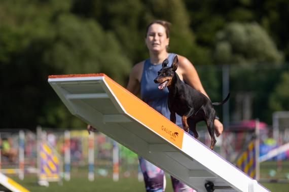 Jméno fotky: fotka 31 / 400