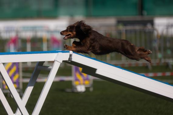 Jméno fotky: fotka 32 / 400