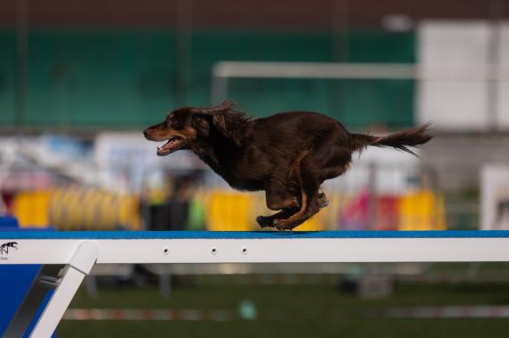 Jméno fotky: fotka 33 / 400