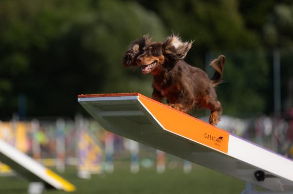 Jméno fotky: fotka 34 / 400