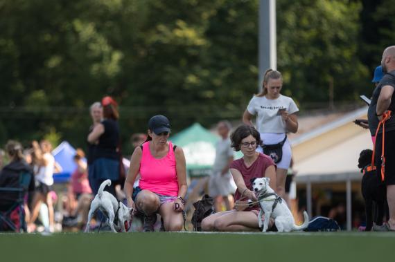 Jméno fotky: fotka 36 / 400