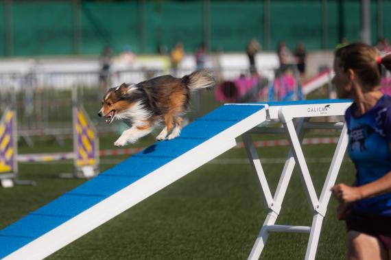 Jméno fotky: fotka 37 / 400