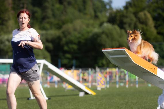 Jméno fotky: fotka 38 / 400