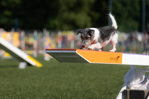 Jméno fotky: fotka 44 / 400