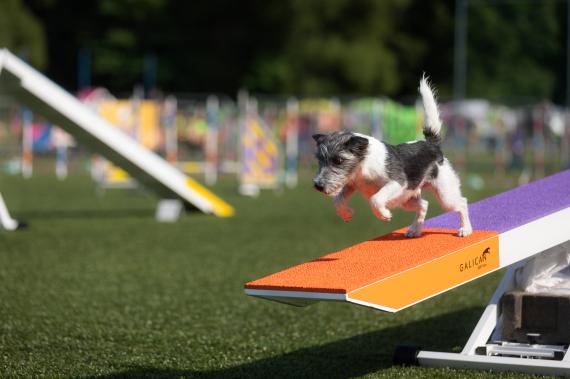 Jméno fotky: fotka 45 / 400