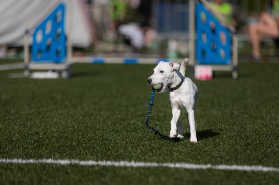 Jméno fotky: fotka 46 / 400