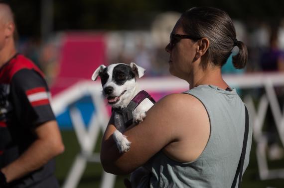 Jméno fotky: fotka 47 / 400