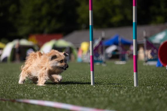 Jméno fotky: fotka 48 / 400