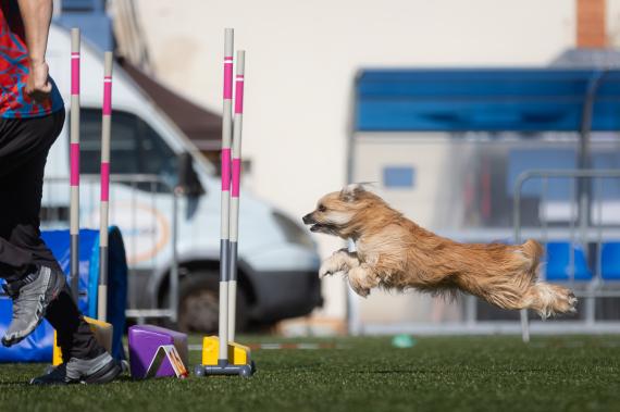 Jméno fotky: fotka 49 / 400