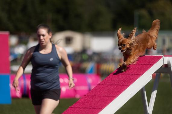 Jméno fotky: fotka 53 / 400