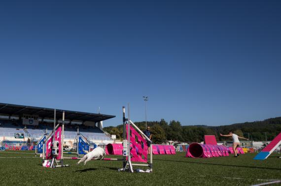 Jméno fotky: fotka 54 / 400