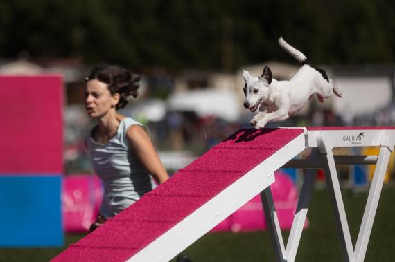 Jméno fotky: fotka 56 / 400