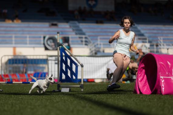 Jméno fotky: fotka 57 / 400