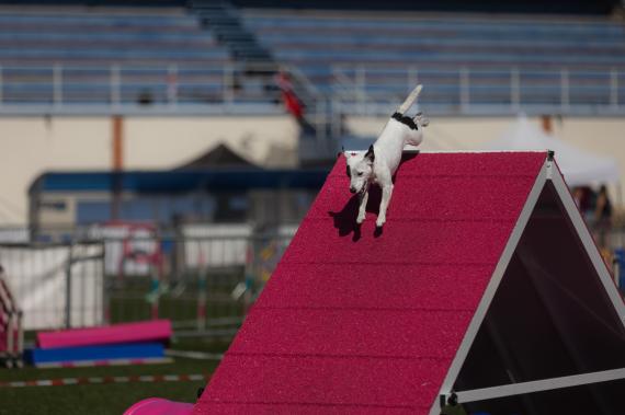 Jméno fotky: fotka 58 / 400