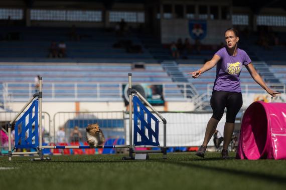 Jméno fotky: fotka 59 / 400