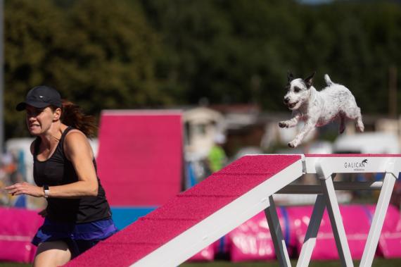 Jméno fotky: fotka 62 / 400