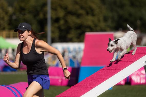 Jméno fotky: fotka 63 / 400