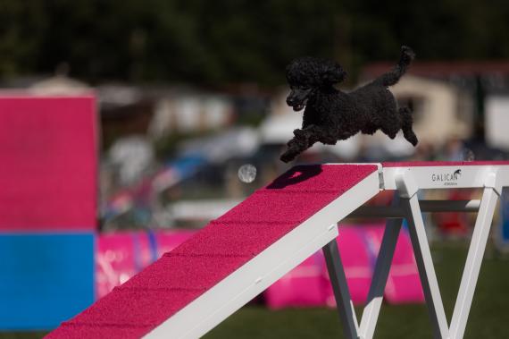 Jméno fotky: fotka 66 / 400