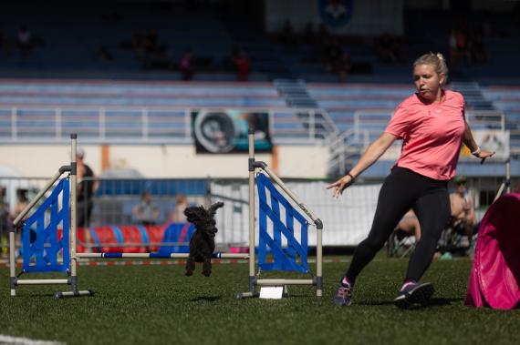 Jméno fotky: fotka 67 / 400