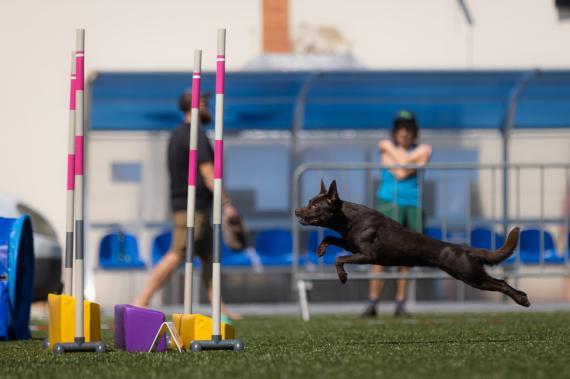 Jméno fotky: fotka 68 / 400