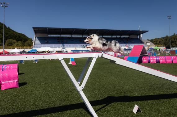 Jméno fotky: fotka 69 / 400