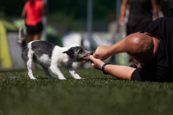 Jméno fotky: fotka 73 / 400