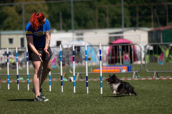 Jméno fotky: fotka 74 / 400