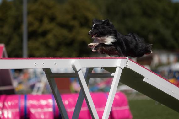 Jméno fotky: fotka 75 / 400