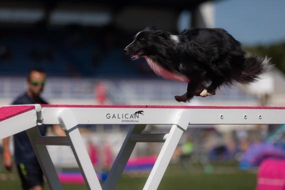 Jméno fotky: fotka 76 / 400