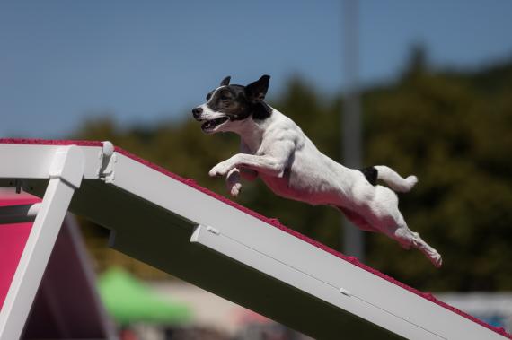 Jméno fotky: fotka 79 / 400