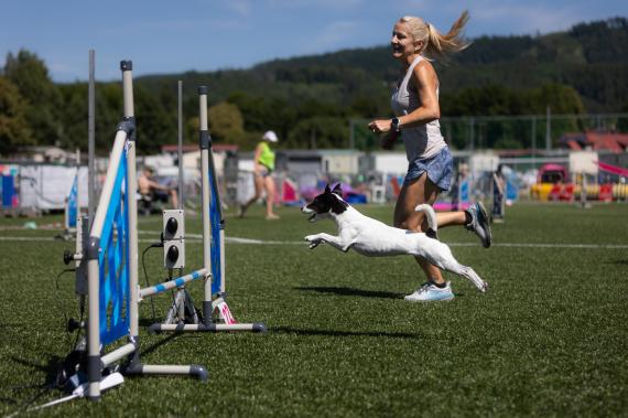 Jméno fotky: fotka 80 / 400