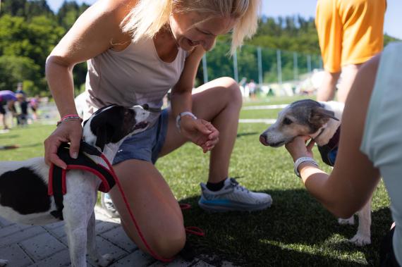 Jméno fotky: fotka 81 / 400