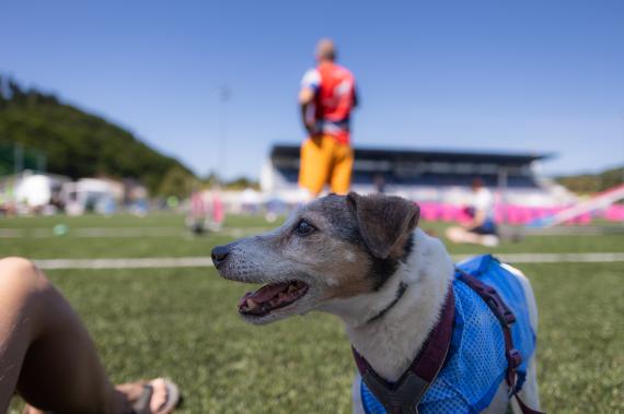 Jméno fotky: fotka 82 / 400