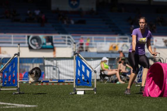 Jméno fotky: fotka 83 / 400